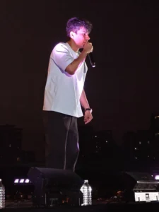 Madhur Virli Education