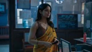 Kashmira Pardeshi Saree